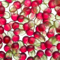 Preview: Fruchtige zuckerfreie Kirsch Fruchtgummi 200 g